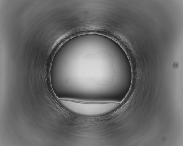 X0000090861210200707270926