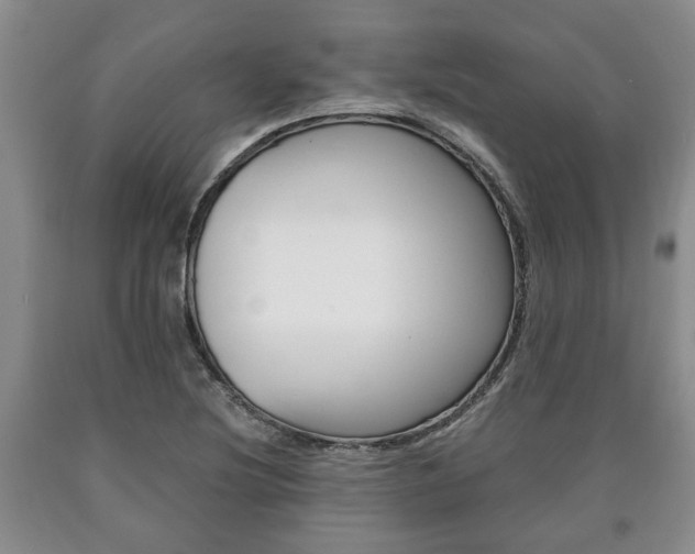 X0000090861220200707270927