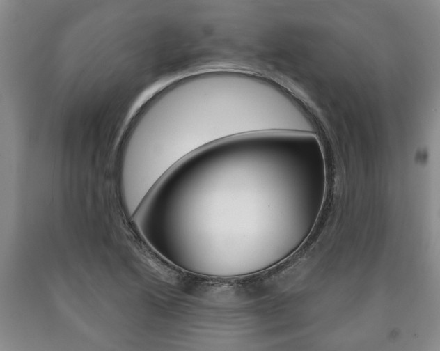 X0000090861222200707270927