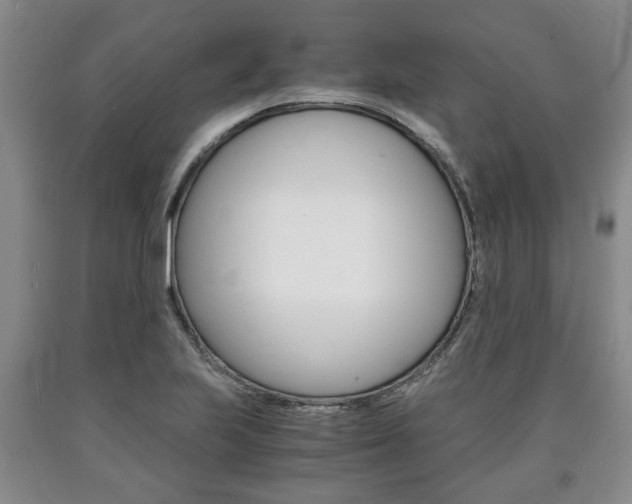 X0000090861223200707270927