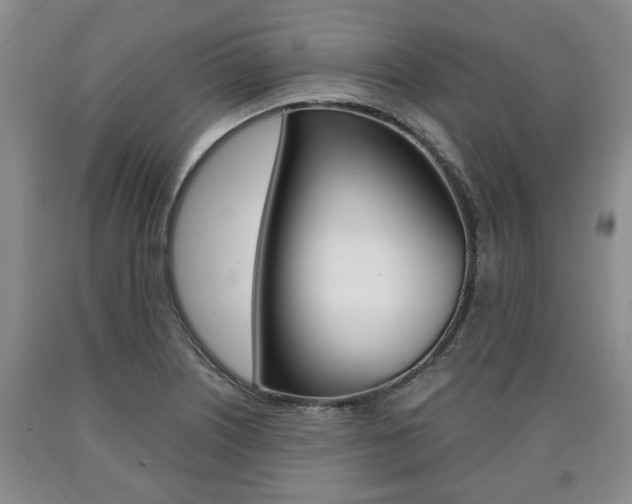 X0000090861226200707270927