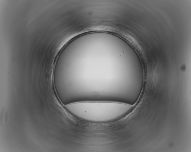 X0000090861228200707270927