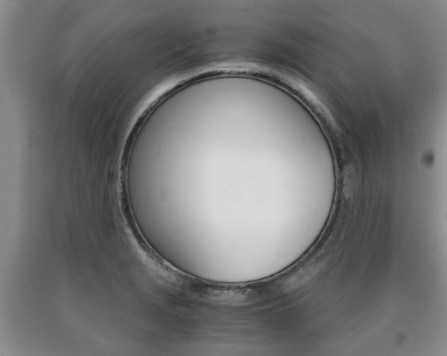 X0000090861229200707270927