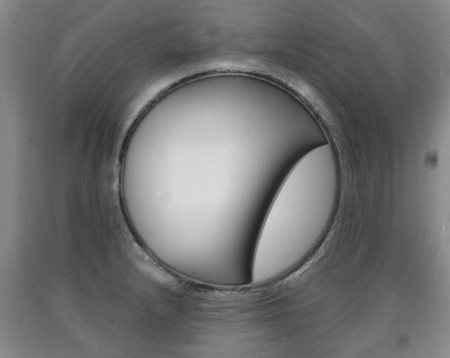 X0000090861232200707270927