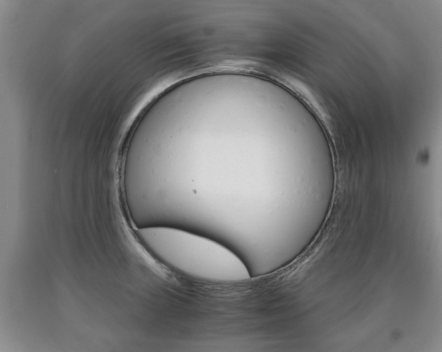 X0000090861235200707270927