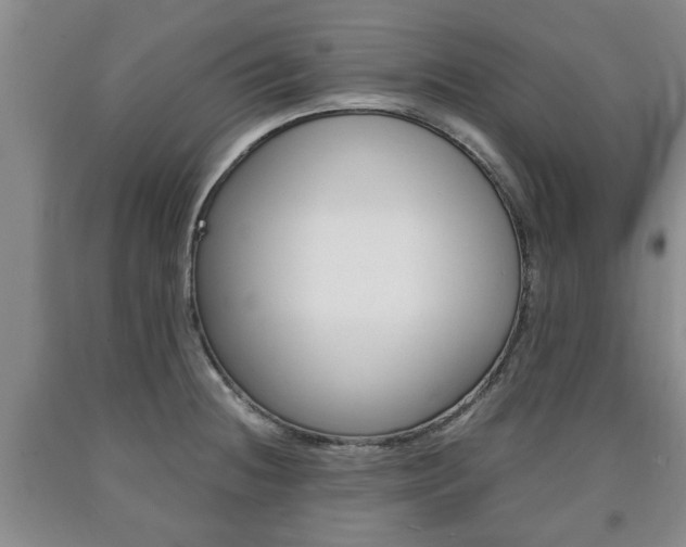 X0000090861236200707270927