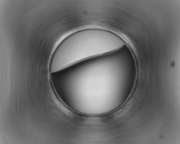 X0000090861238200707270927