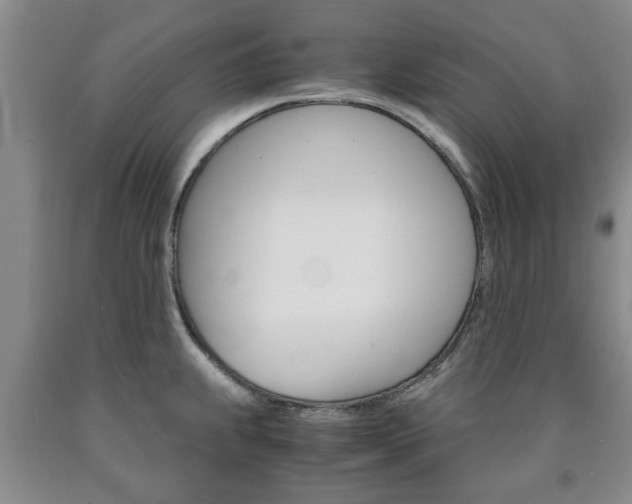 X0000090861239200707270927