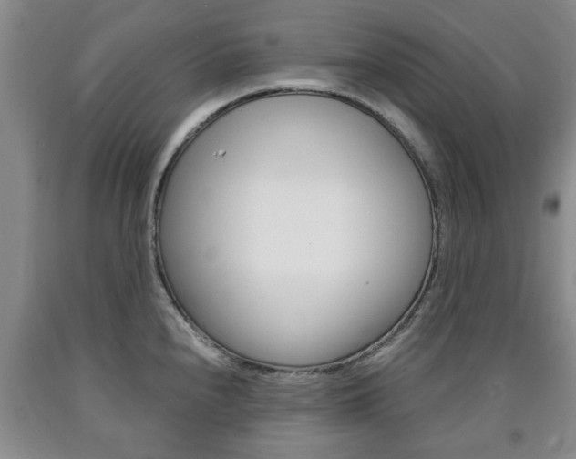 X0000090861240200707270927