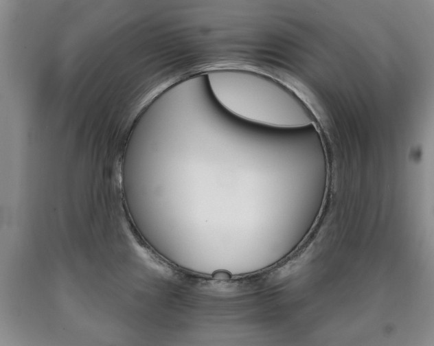 X0000090861241200707270927