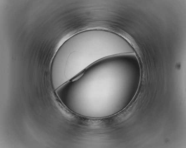 X0000090861242200707270927