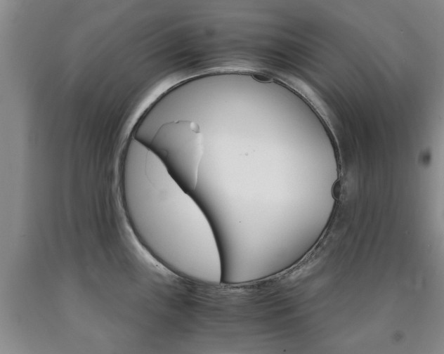X0000090861243200707270927