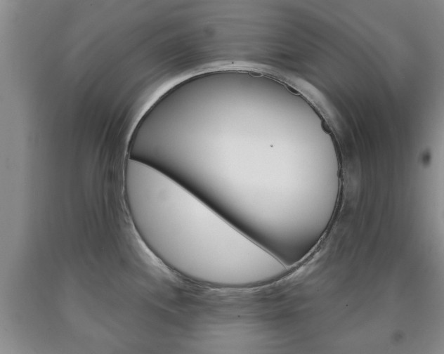 X0000090861244200707270927