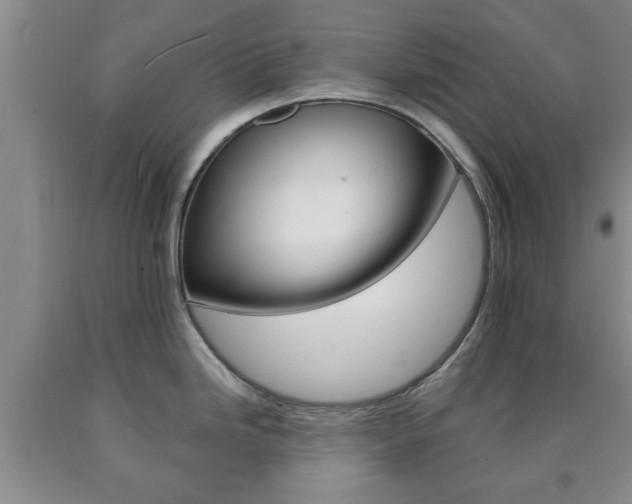 X0000090861246200707270927