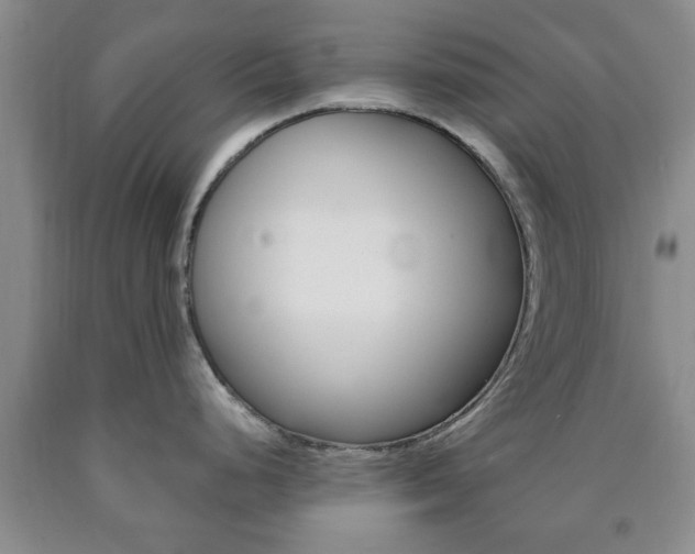 X0000090861248200707270927