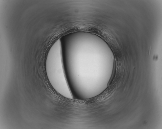X0000090861249200707270926