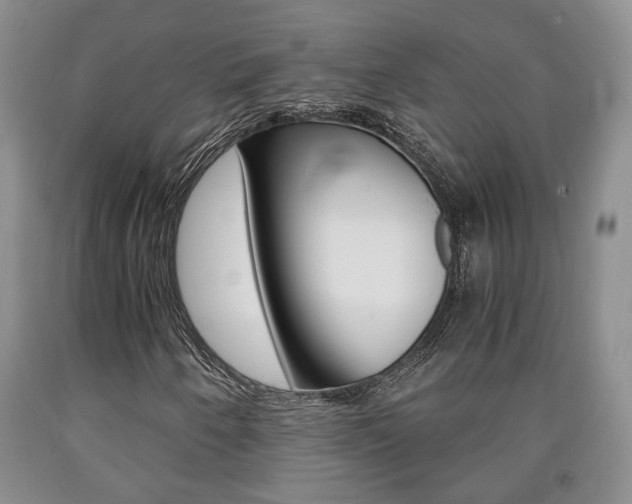X0000090861250200707270926