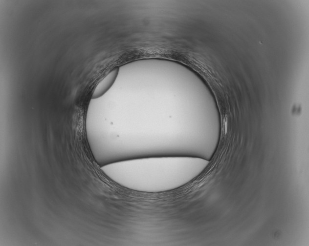 X0000090861251200707270926
