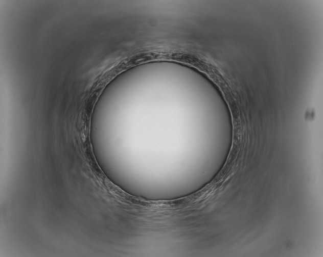 X0000090861253200707270926
