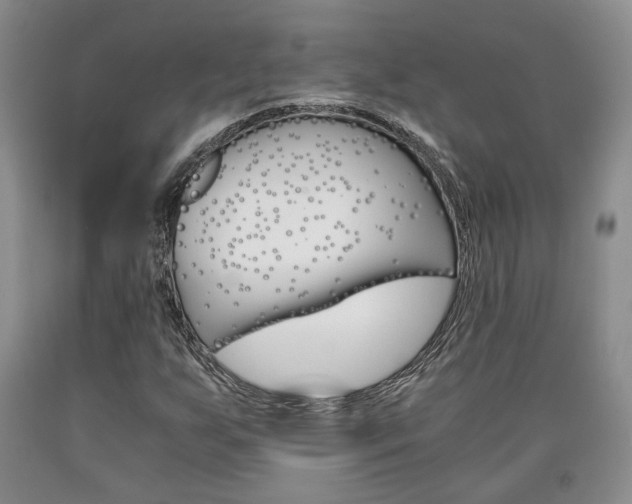 X0000090861255200707270926