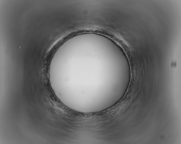 X0000090861256200707270926