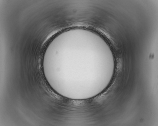 X0000090861258200707270926