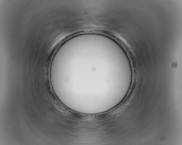 X0000090861259200707270926