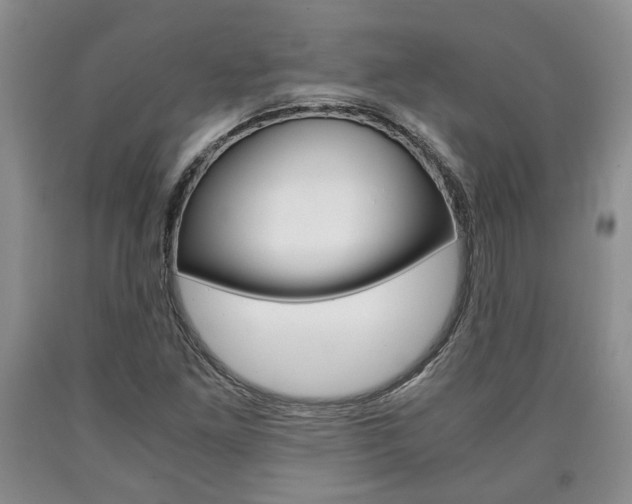 X0000090861261200707270926