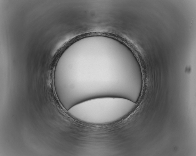 X0000090861262200707270926