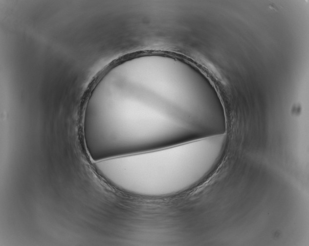 X0000090861264200707270926