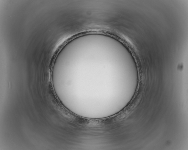 X0000090861267200707270926