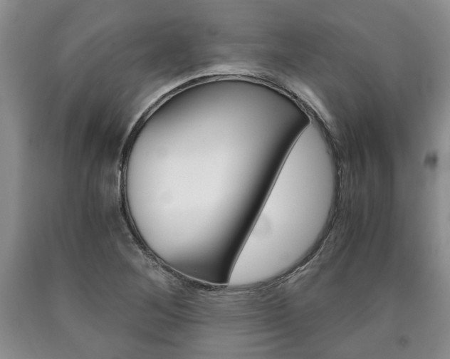 X0000090861268200707270926