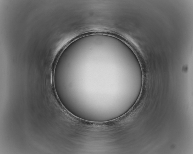 X0000090861269200707270926