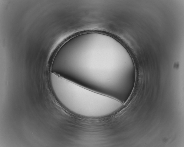 X0000090861270200707270926