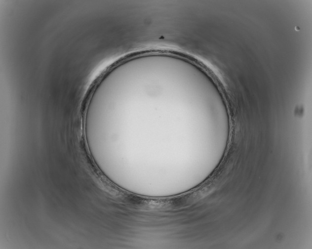 X0000090861271200707270926