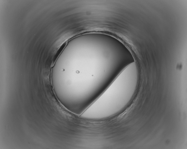 X0000090861273200707270926