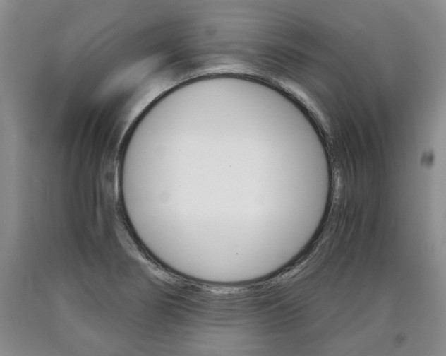 X0000090861274200707270926