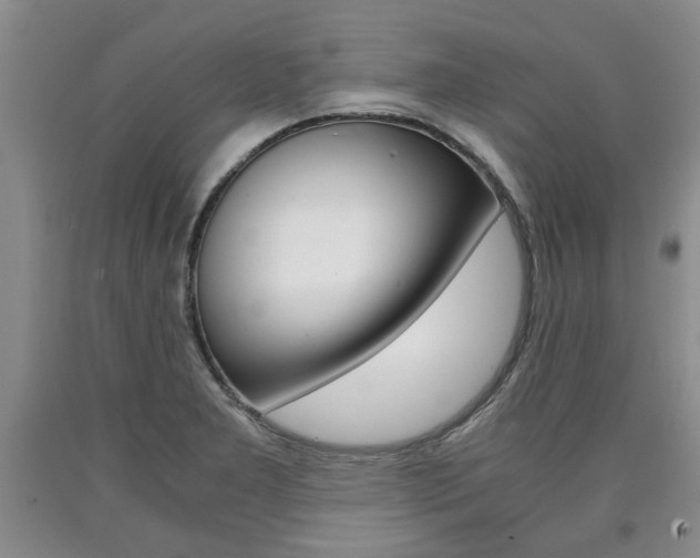 X0000090861277200707270926