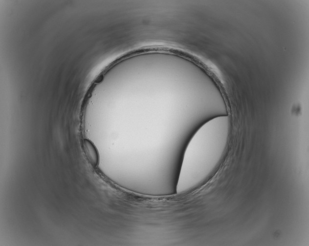 X0000090861279200707270926