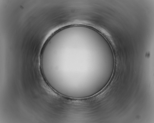 X0000090861280200707270926
