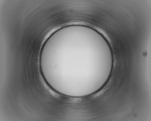 X0000090861282200707270926