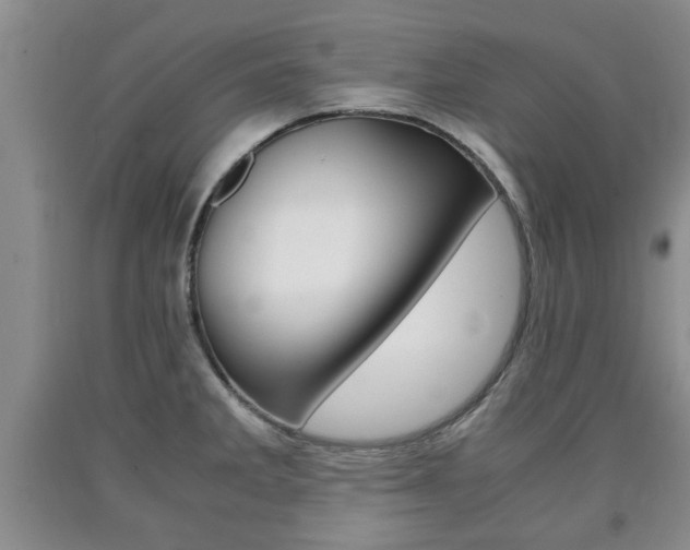 X0000090861285200707270926