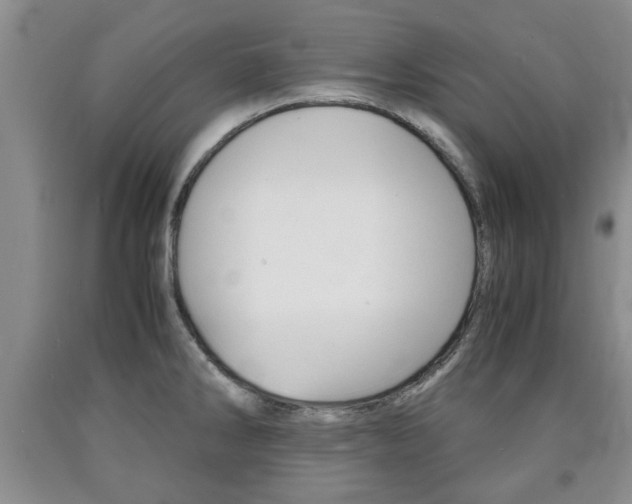 X0000090861286200707270926