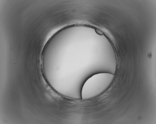 X0000090861287200707270926