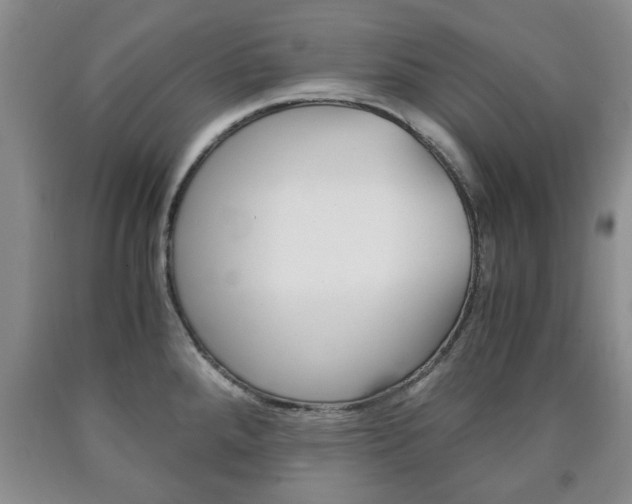 X0000090861288200707270926