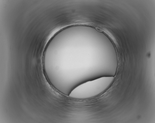 X0000090861291200707270926