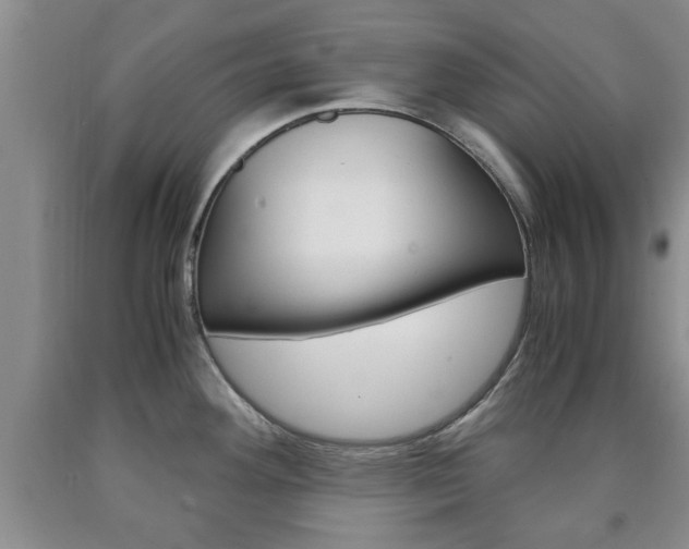 X0000090861292200707270926