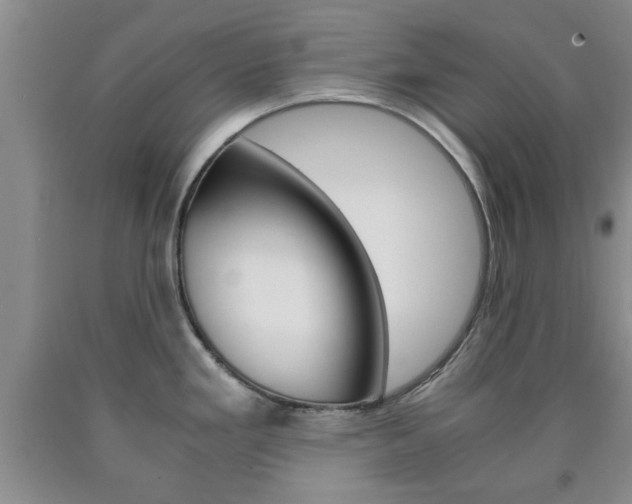 X0000090861293200707270926