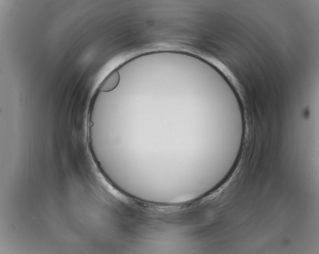 X0000090861294200707270926