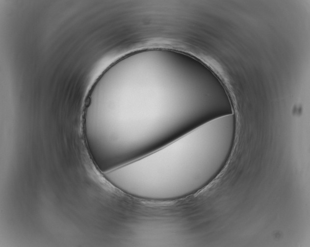 X0000090861296200707270926